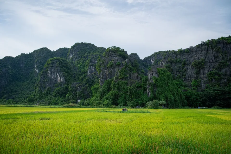 Kho gạo của Lê Tỵ